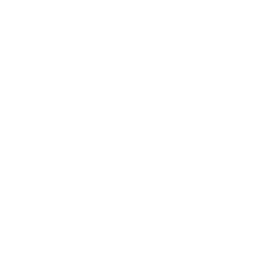 Holistic Student Development